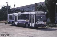 Imagine atasata: 2001-06-06 Timisoara bus (2).JPG